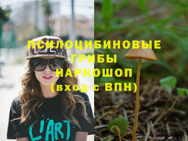 марихуана Новозыбков