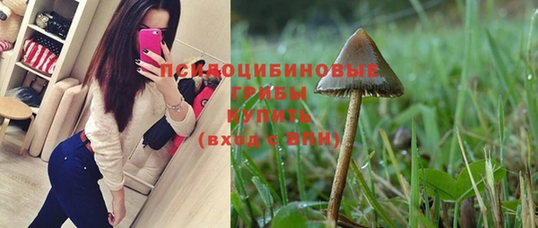 ГАЛЛЮЦИНОГЕННЫЕ ГРИБЫ Нягань