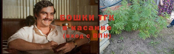 ГАЛЛЮЦИНОГЕННЫЕ ГРИБЫ Нягань