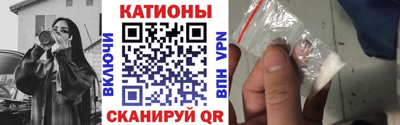 как найти   Курганинск  МЯУ-МЯУ мяу мяу 