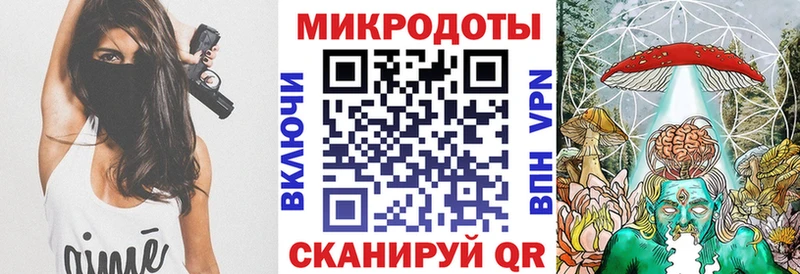 где продают наркотики  Курганинск  Псилоцибиновые грибы Psilocybine cubensis 