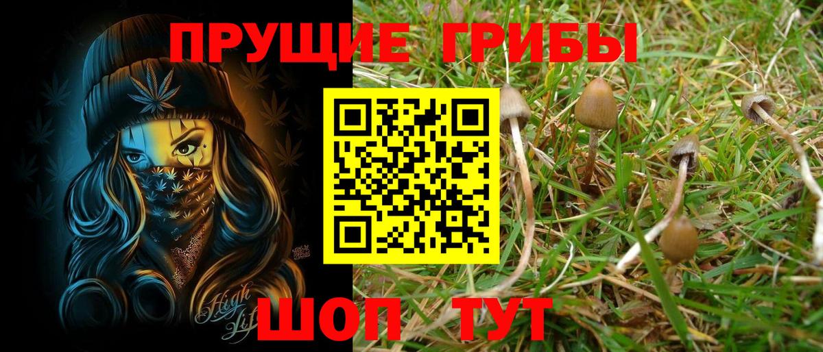 Псилоцибиновые грибы мухоморы Курганинск